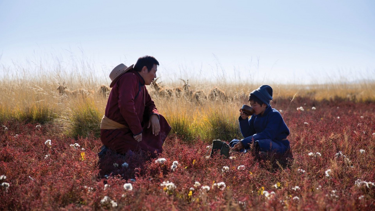 Артерии мира (2020)