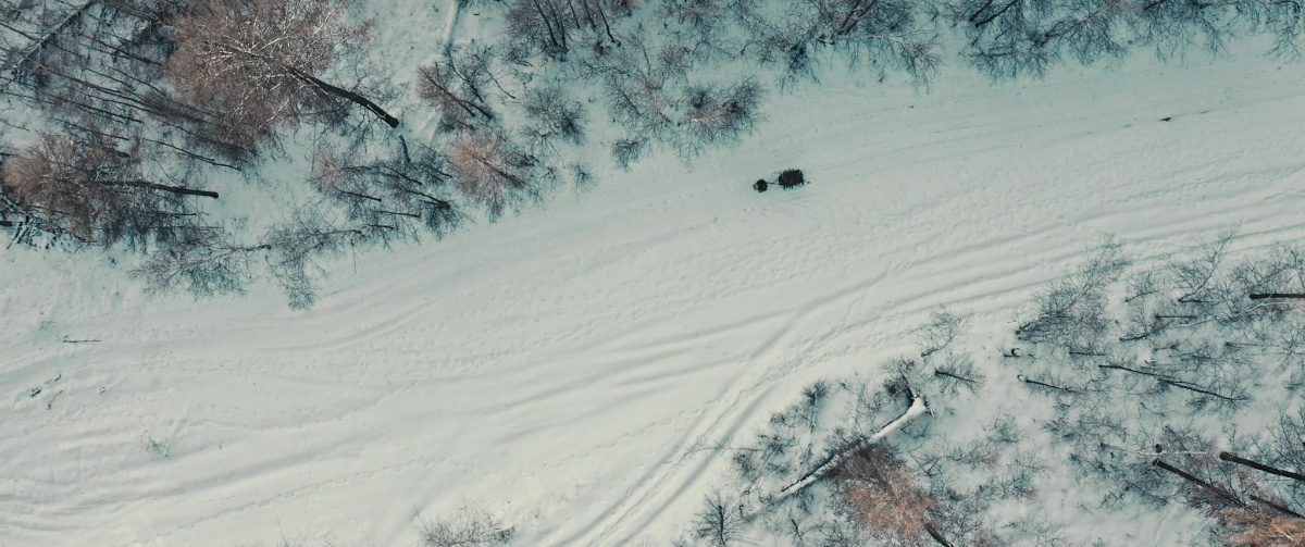 Кадры из Пугало (2021)