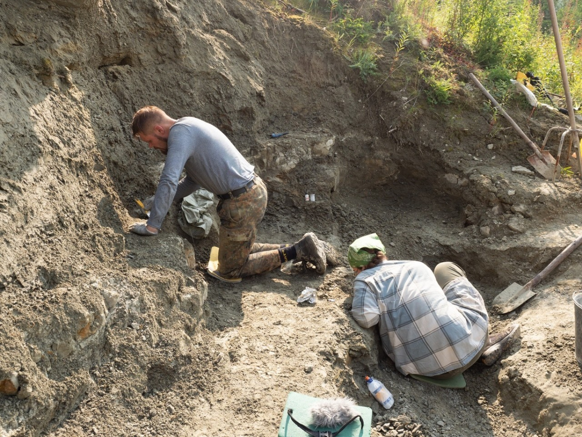 Кадры из Мой личный дракон (2021)