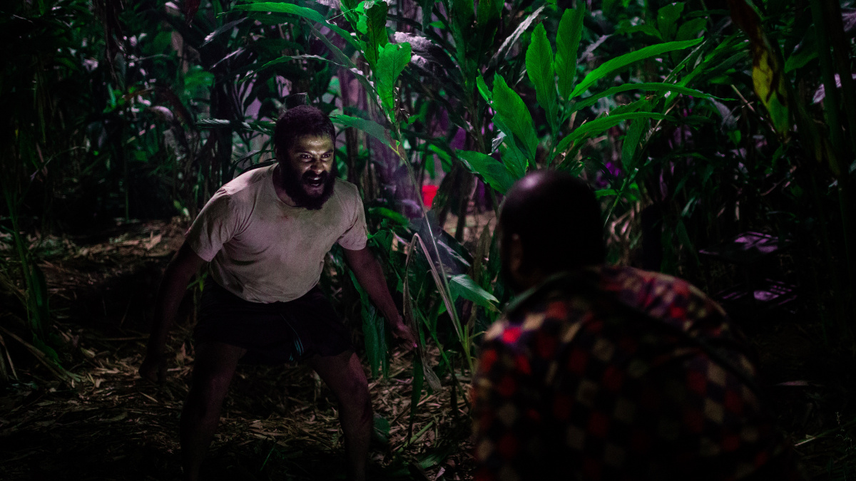 Кадры из Джалликатту (2019)