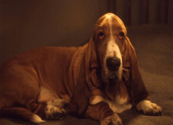 Кадры из Авалон (2001)