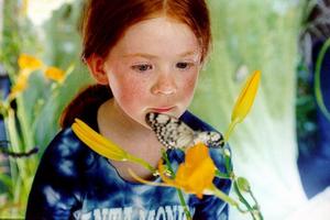 Кадры из Бабочка (2002)