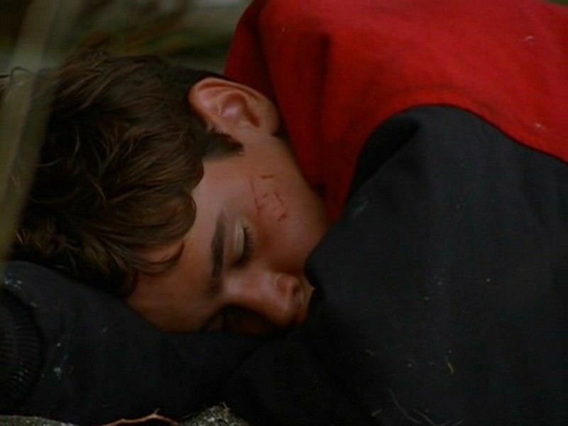 Далеко от дома: Приключения желтого пса (1995)