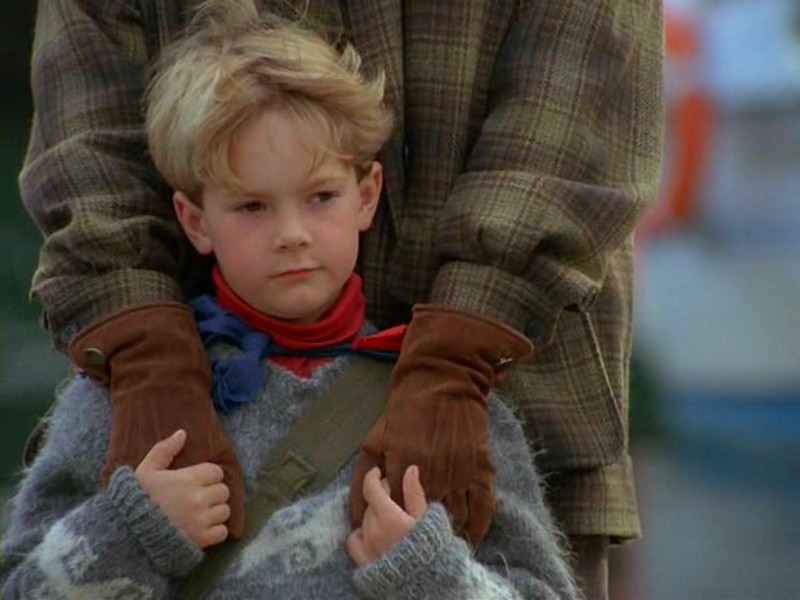 Далеко от дома: Приключения желтого пса (1995)