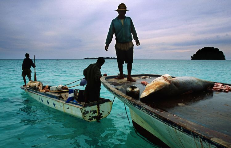 Кадры из Акулы (2006)