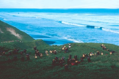 Кадры из Первый год на севере (2005)