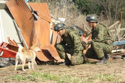 Кадры из История Мари и трёх щенков (2007)