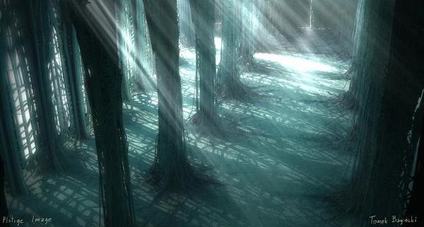 Кадры из Кафедральный собор (2002)