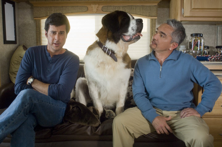 Кадры из Бетховен: Большой бросок (2008)