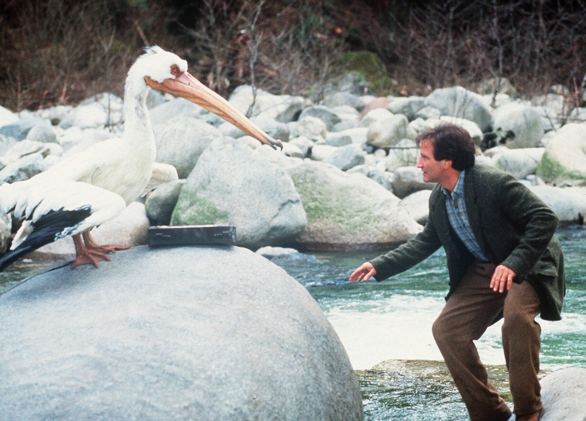 Джуманджи (1995)