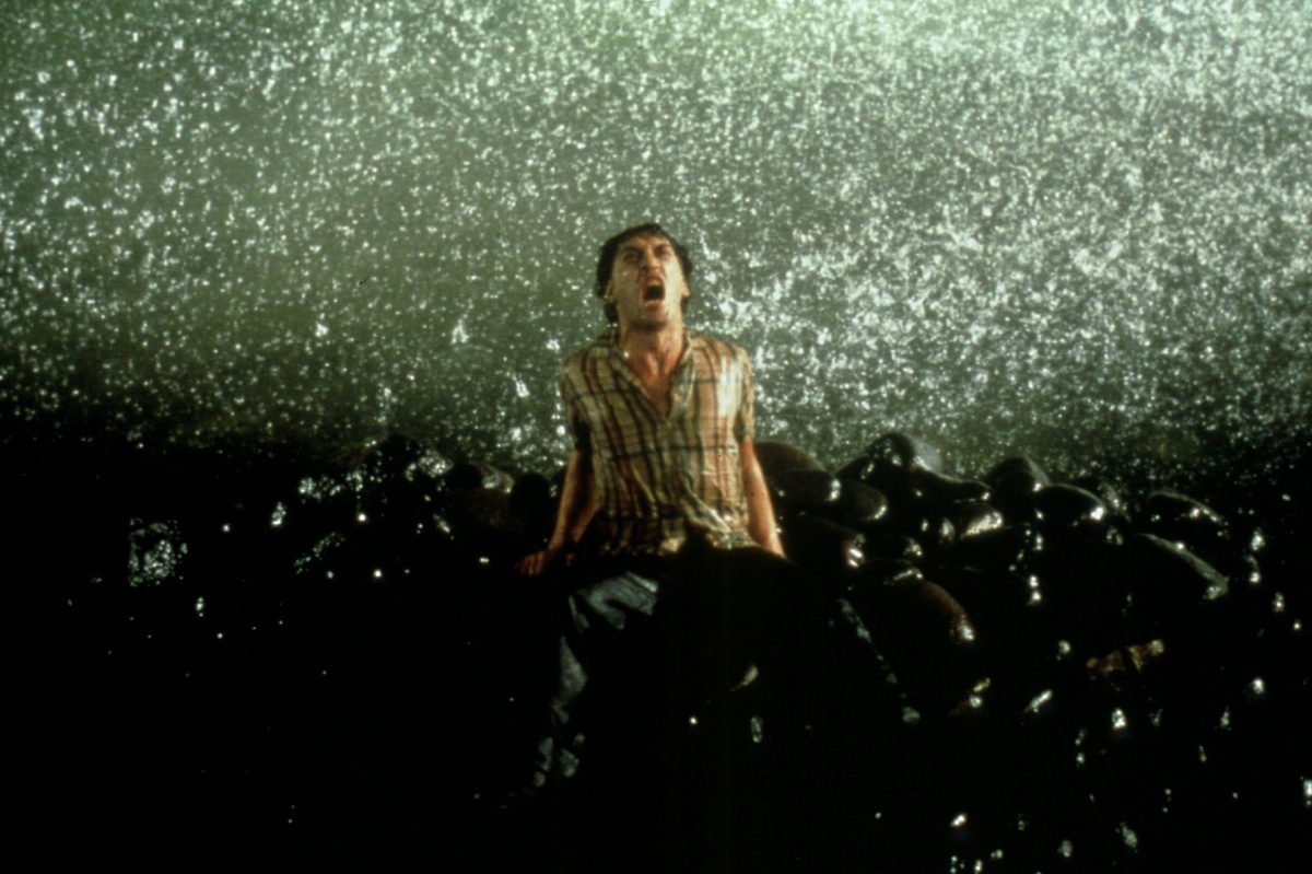 Кадры из Пока не наступит ночь (2000)