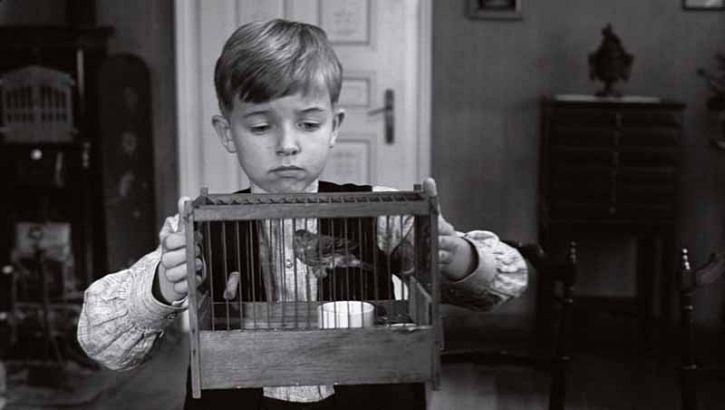 Кадры из Белая лента (2009)