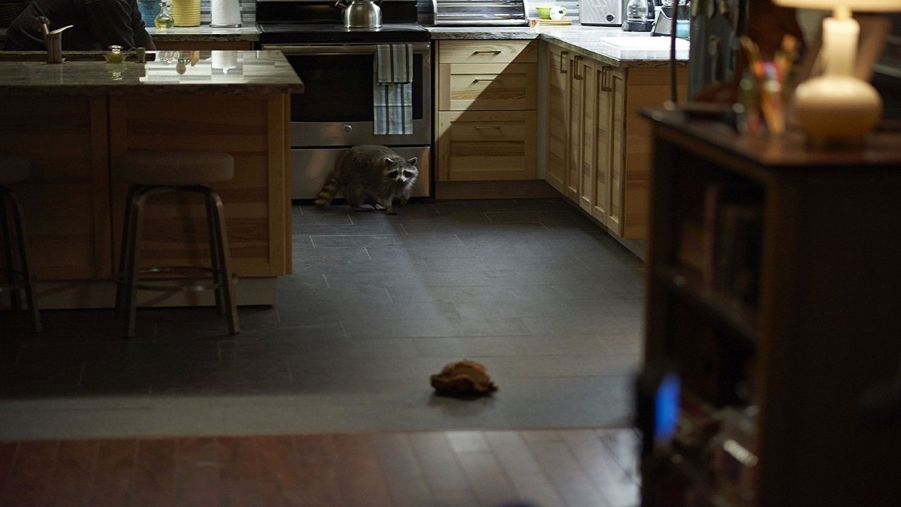 Кадры из Кроуфорд (2018)