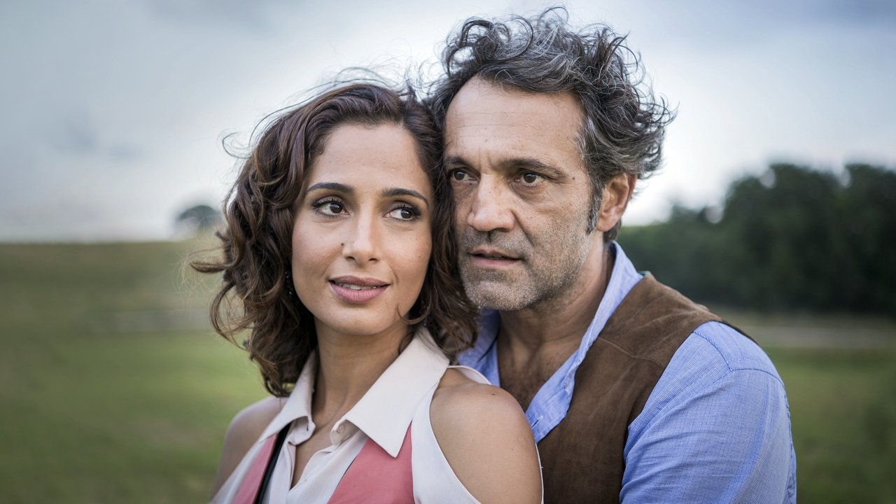 Кадры из Старик Шику (2016)