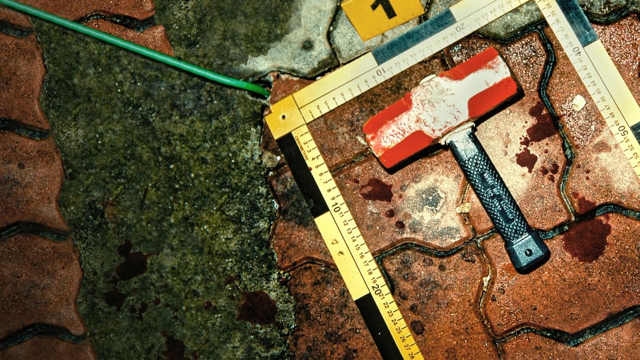 Убийца в плаще: Охота на корейского хищника (2021)