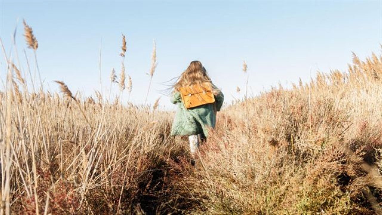 Кадры из Тайны Элизы (2015)