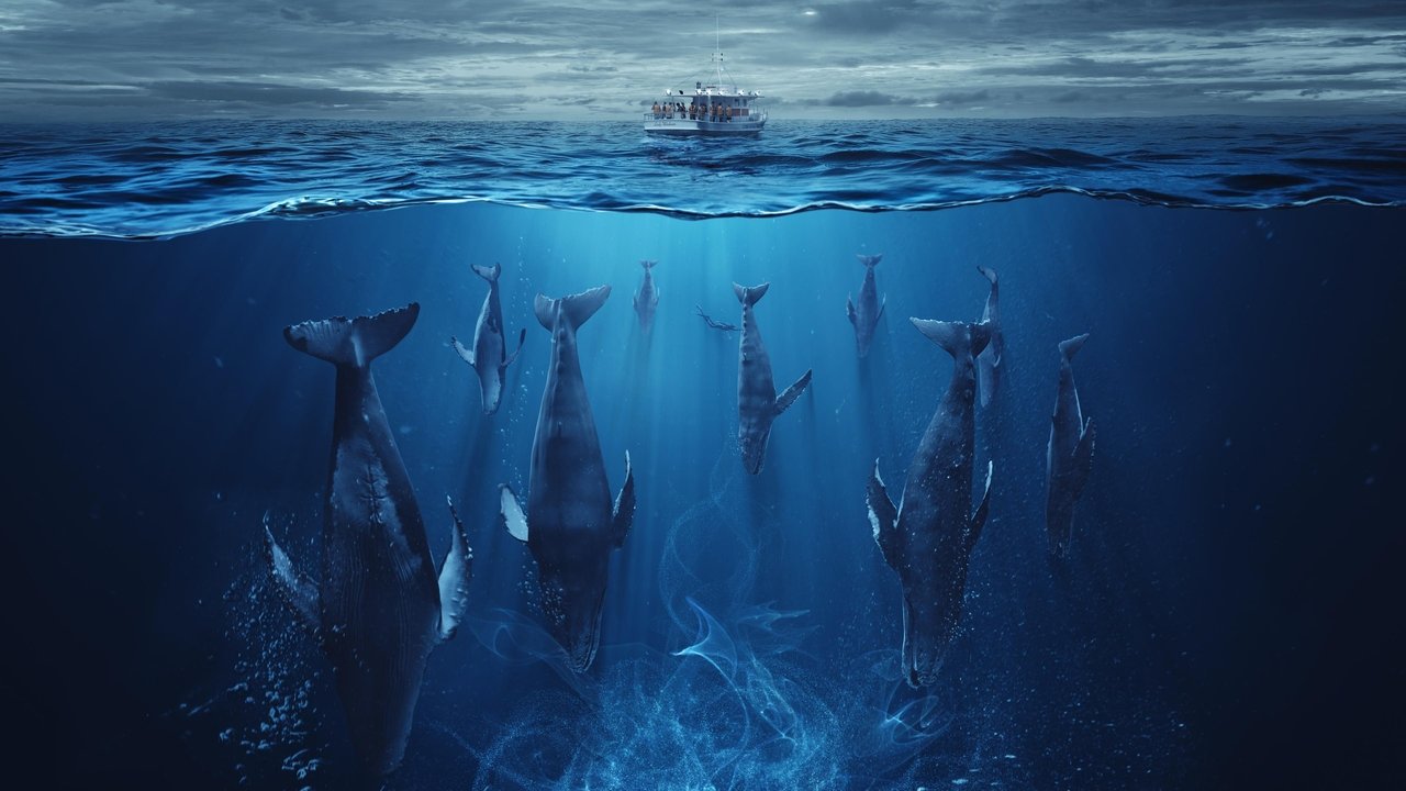 Кадры из Рой (2023)