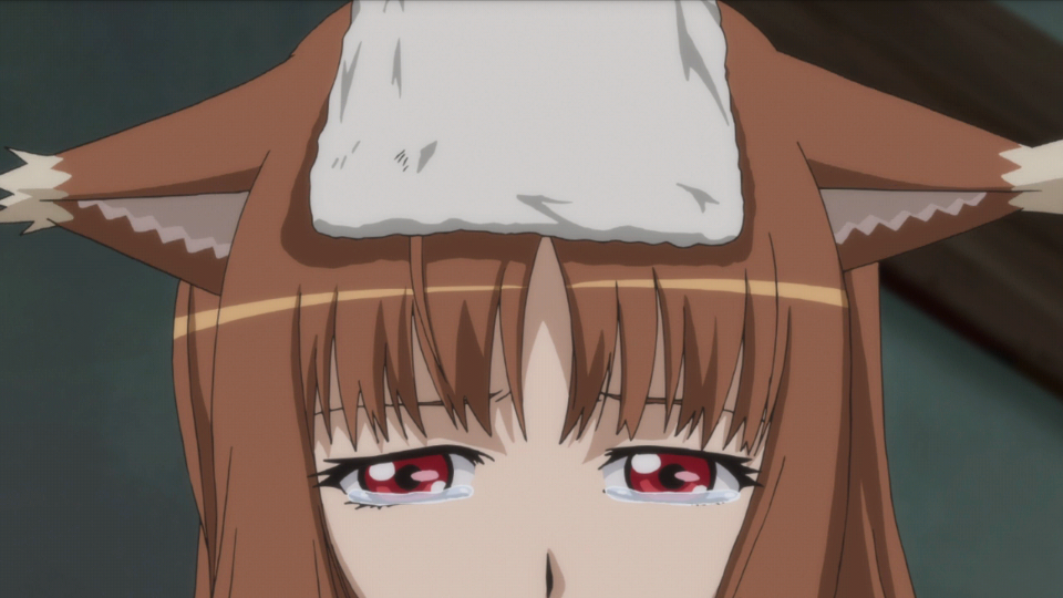 Волчица и пряности II: Волчица и янтарная меланхолия (2009)