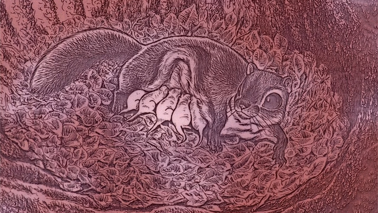 Кадры из Лесная легенда (2002)