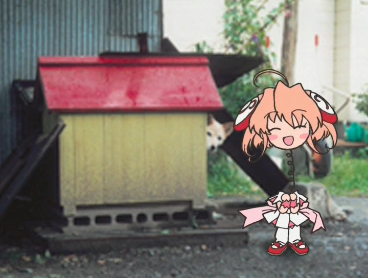 Кадры из Моя Ризельмина (2002)