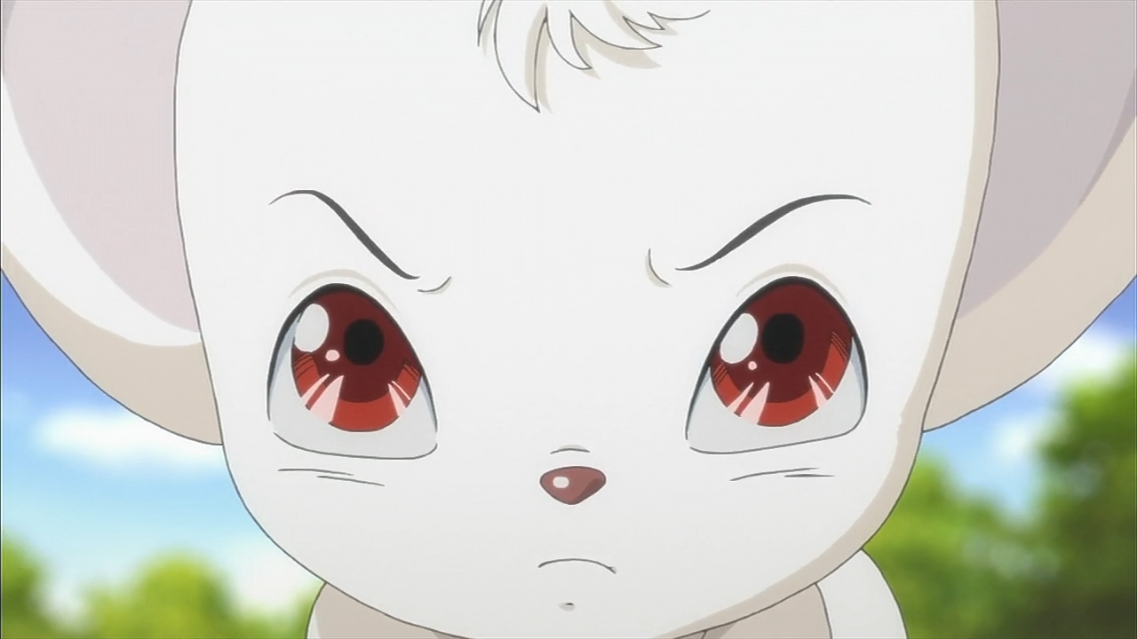 Кадры из Император джунглей (2009)