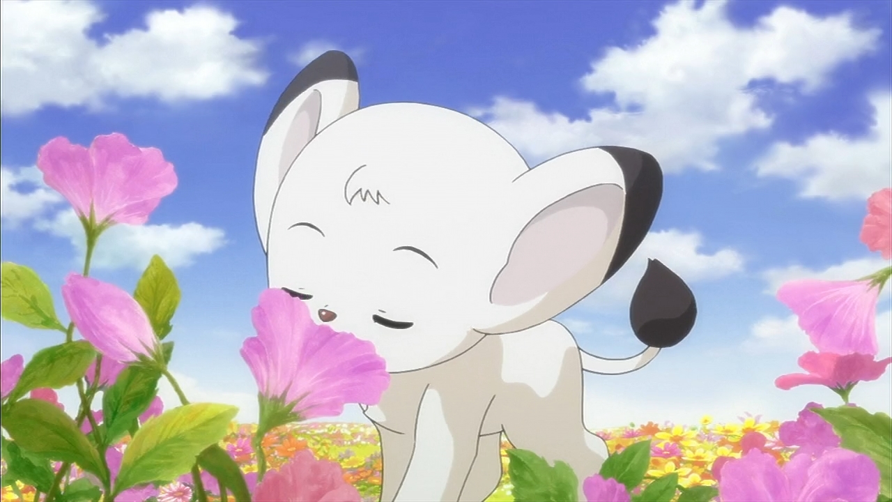 Кадры из Император джунглей (2009)