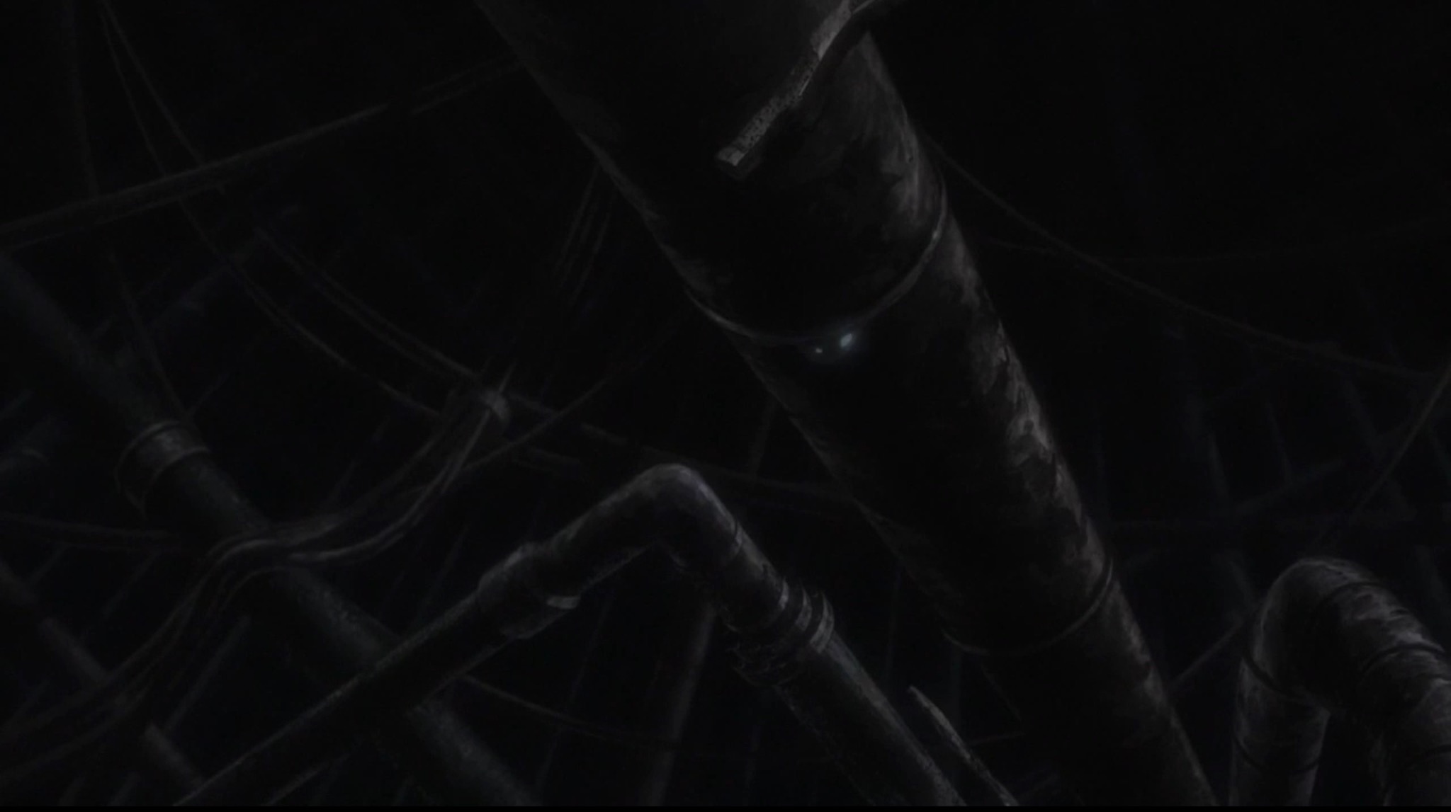 Девушки в последнем путешествии (2017)