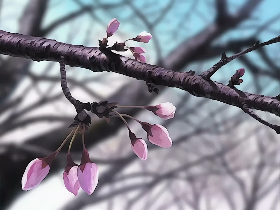 Любовь и Хина: Весна (2001)