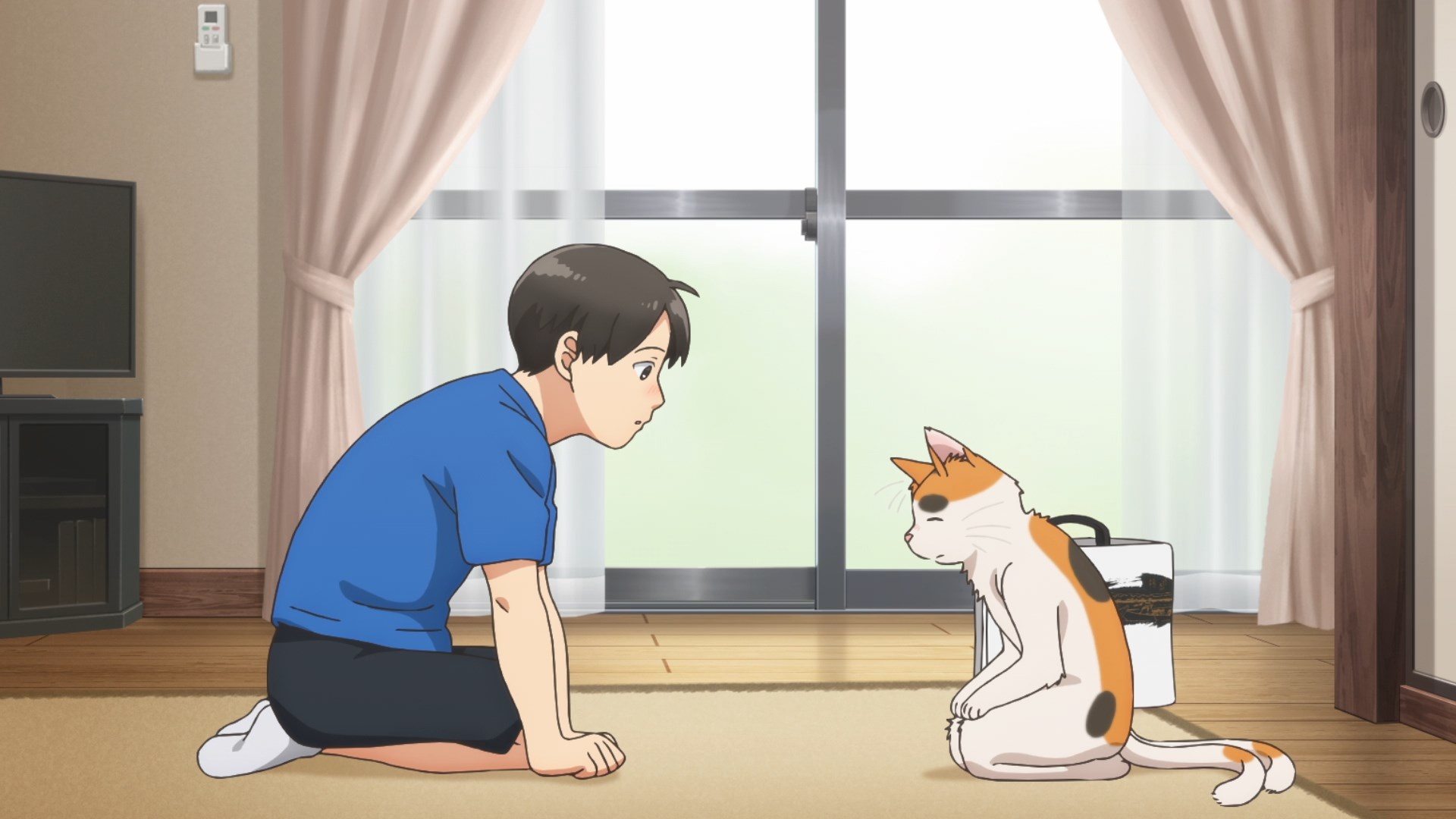 Кадры из Мой сосед-ёкай (2024)