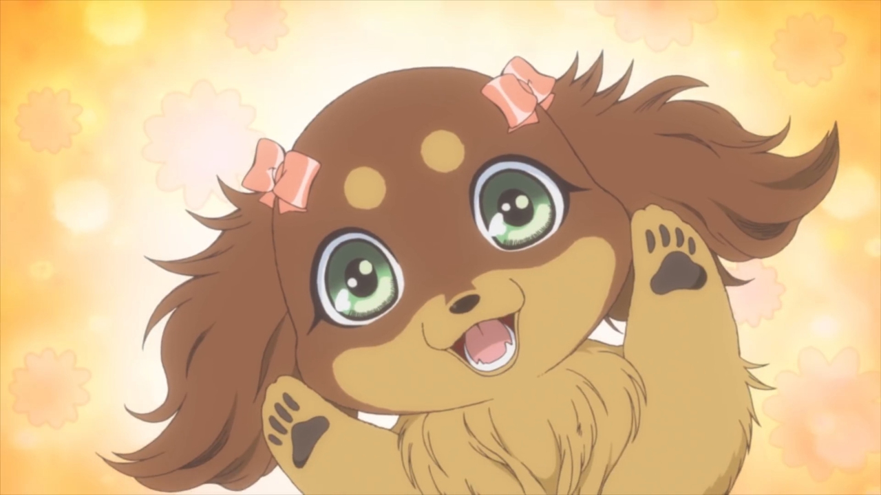 Чокотан! (2013)