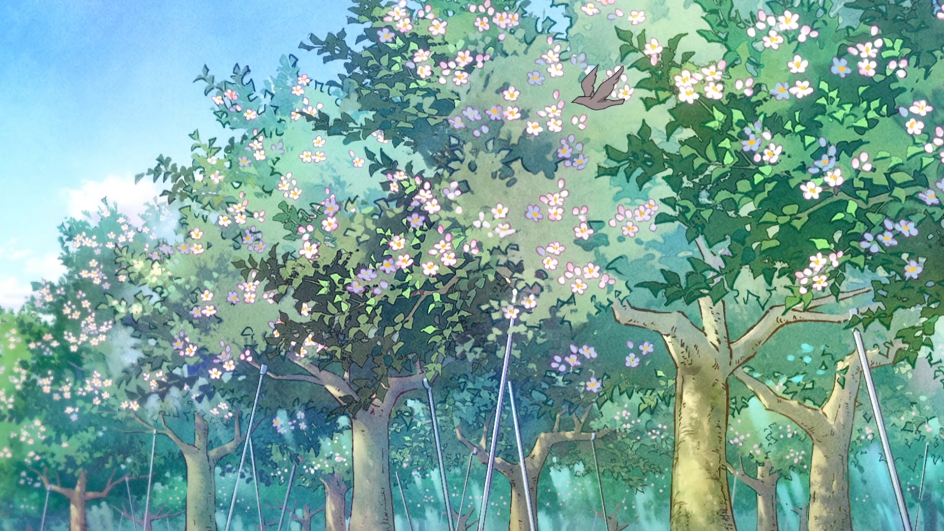 История о дедушке и бабушке, которые снова стали молодыми (2024)