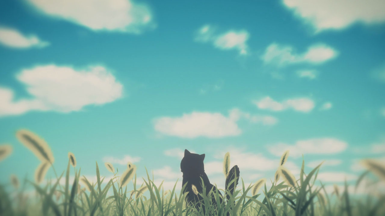 Кадры из Она и её кот: Всё течёт (2016)