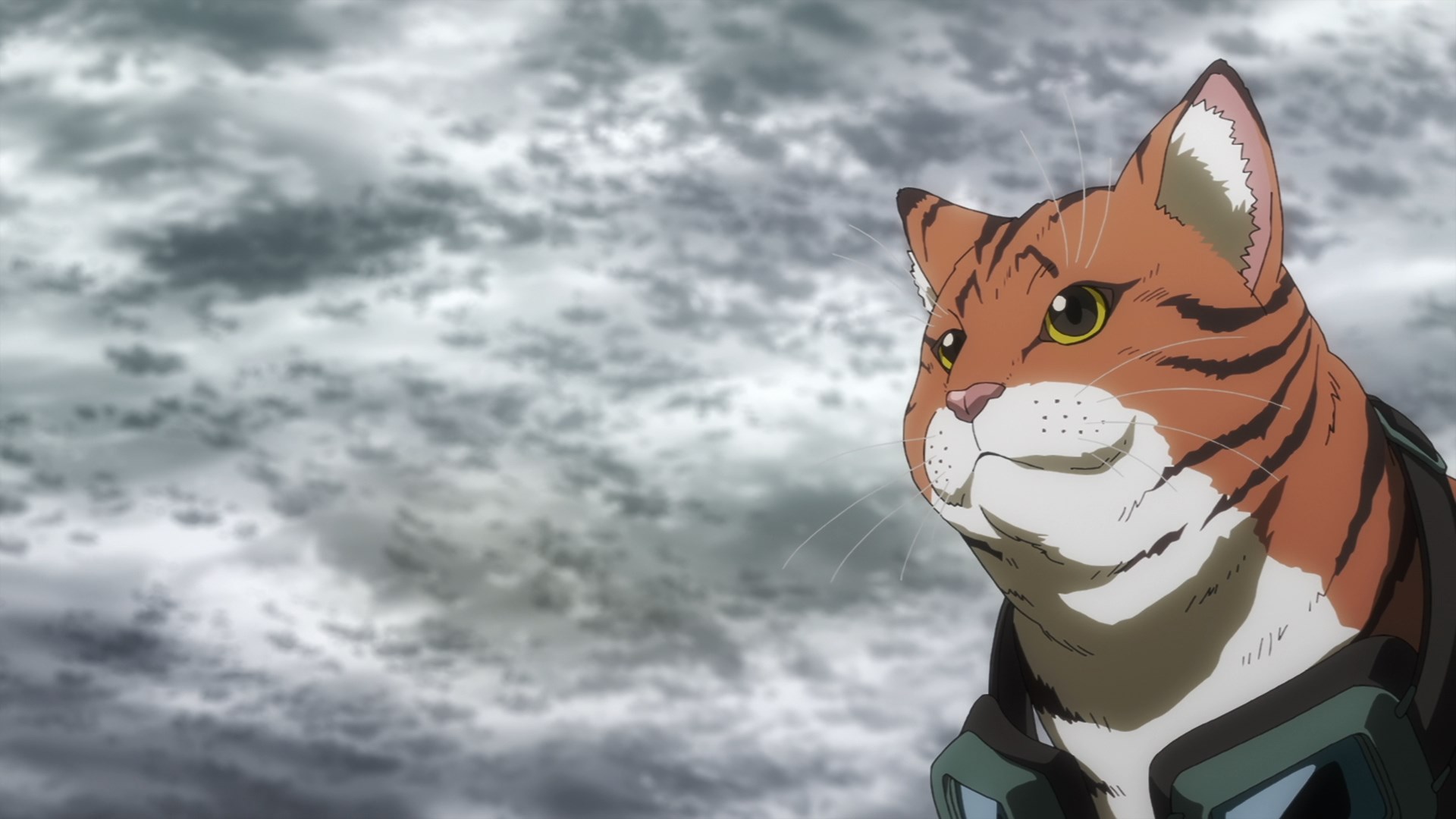 Кадры из Ночь живых кошаков (2025)