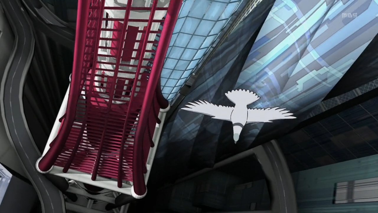 Куми и тюльпан (2015)