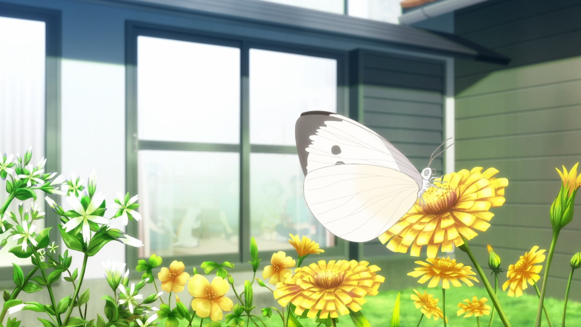 Кадры из Мой сосед-ёкай (2024)