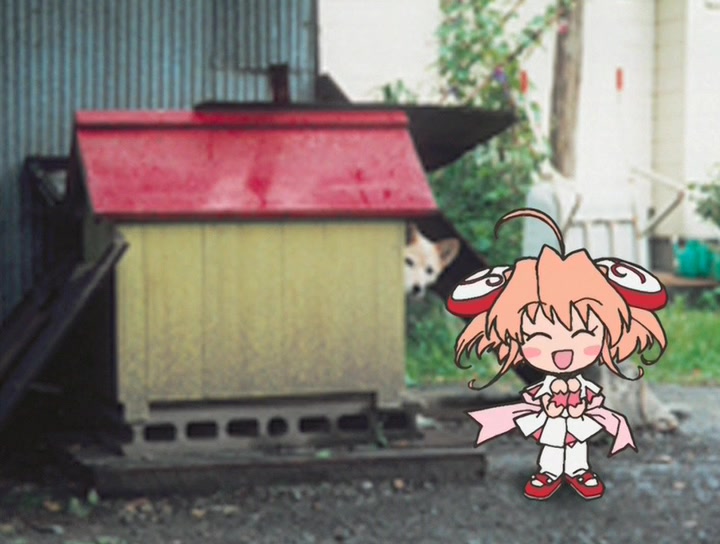 Кадры из Моя Ризельмина (2002)