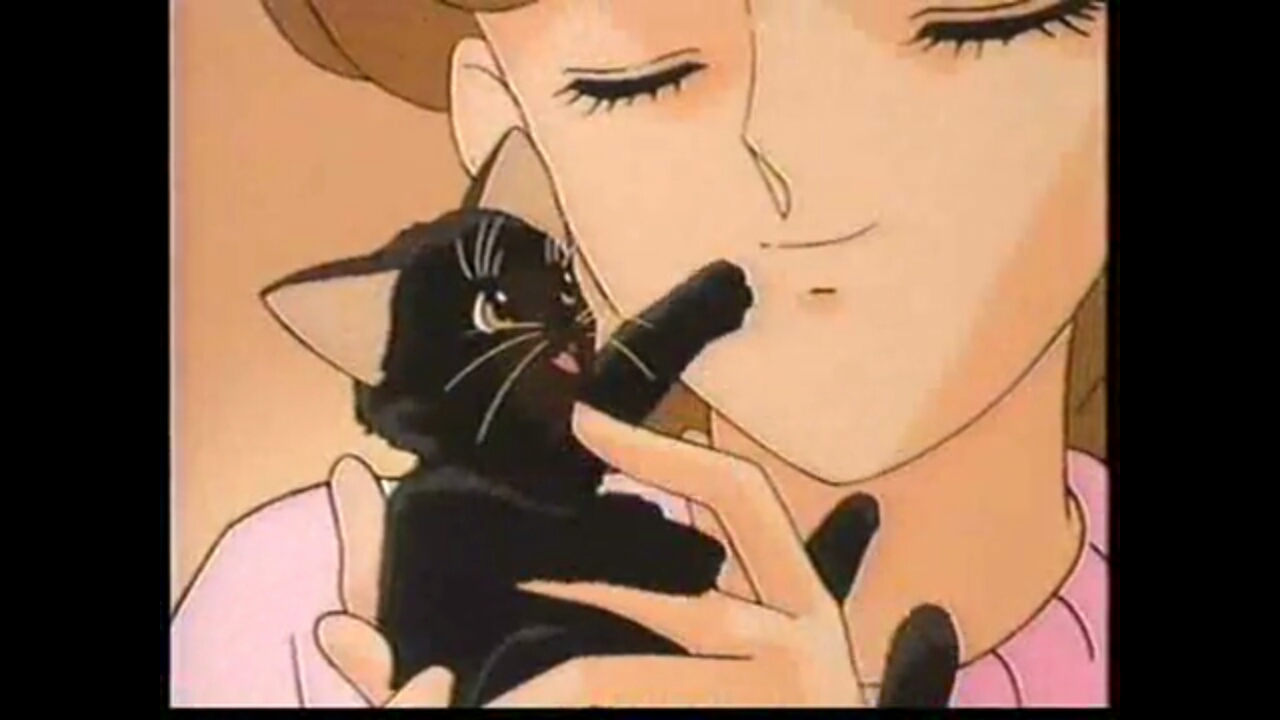 Кадры из Кошачья фантазия (1991)