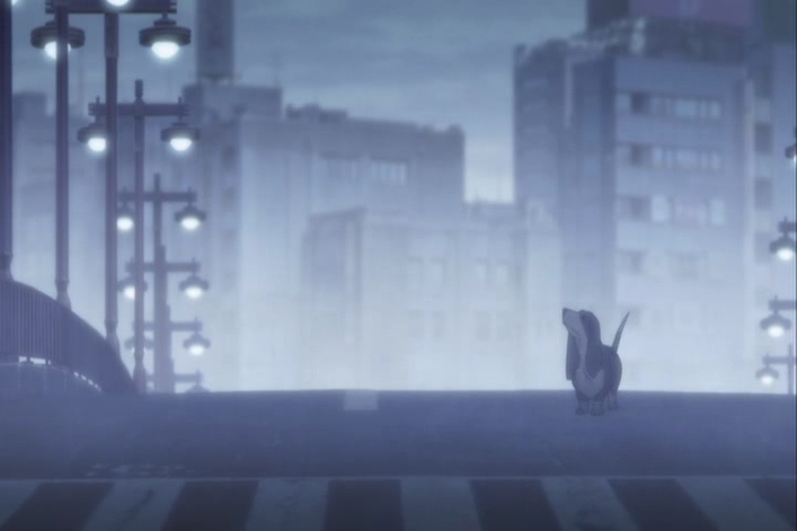 Кадры из Я люблю тебя (2010)