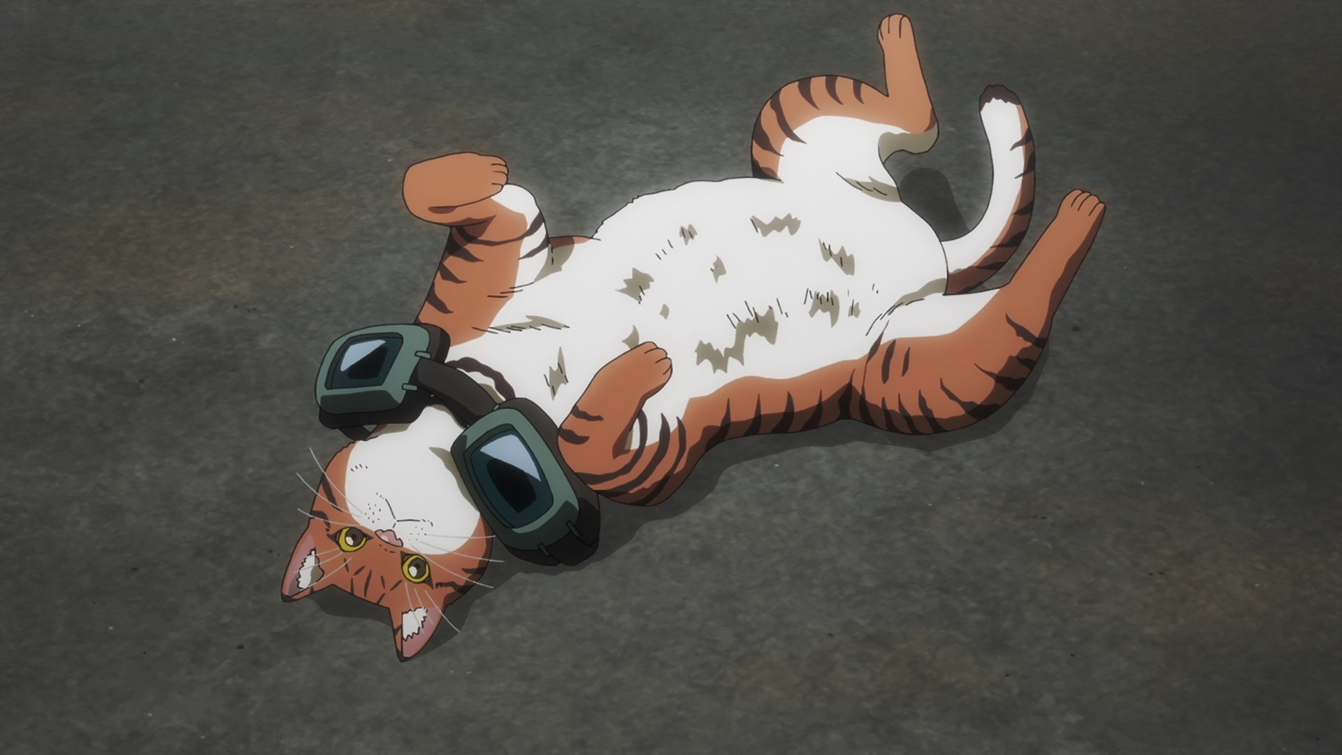 Кадры из Ночь живых кошаков (2025)