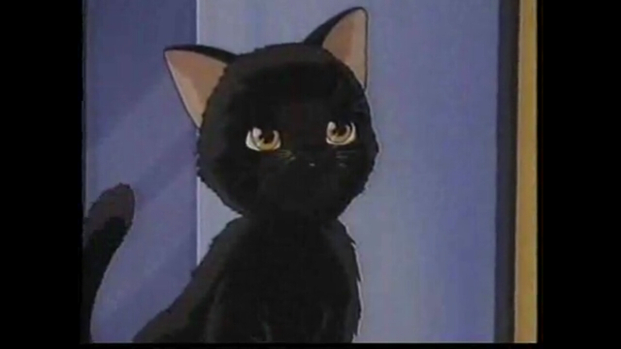 Кадры из Кошачья фантазия (1991)