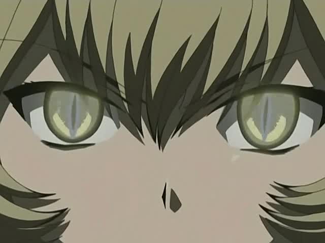 Кадры из Мэджикано (2006)