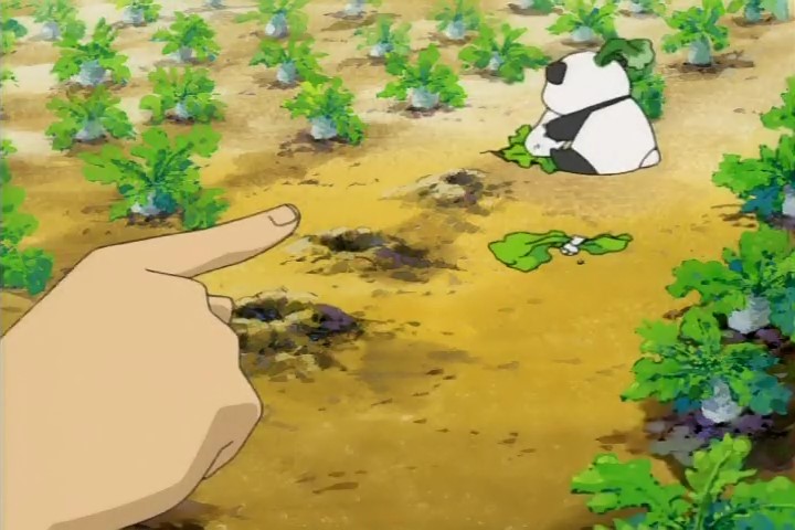 Братья Нэрима Дайкон (2006)