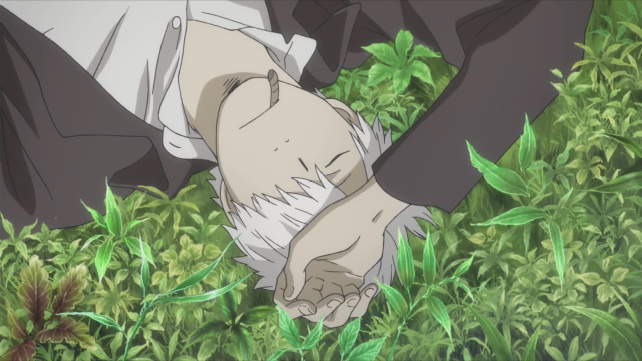 Мастер Муси: Тень, пожирающая солнце (2014)