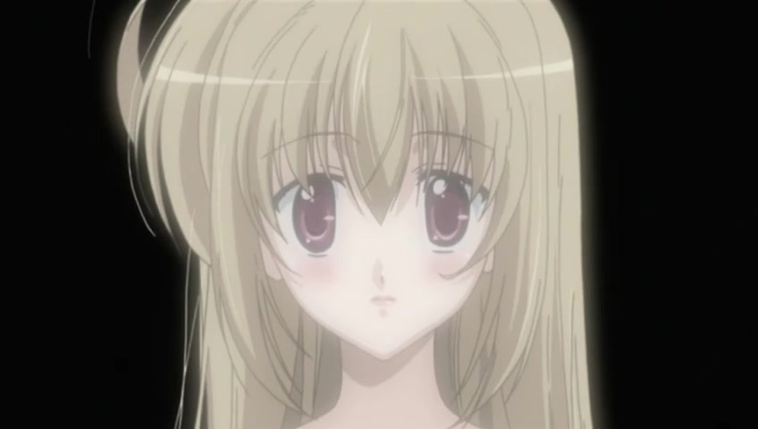 Кадры из Девушка влюбилась в старшую сестру (2006)