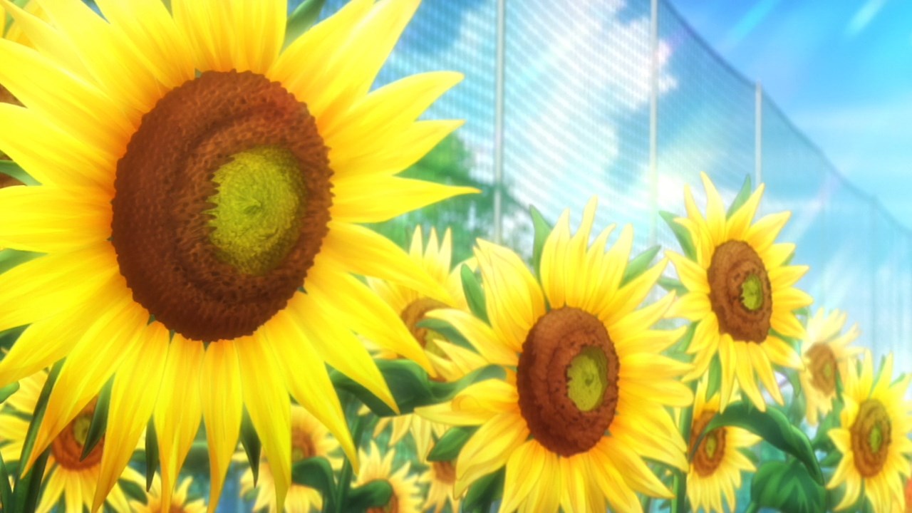 Кадры из Судьба: Девочка-волшебница Иллия 2. Продолжение (2015)