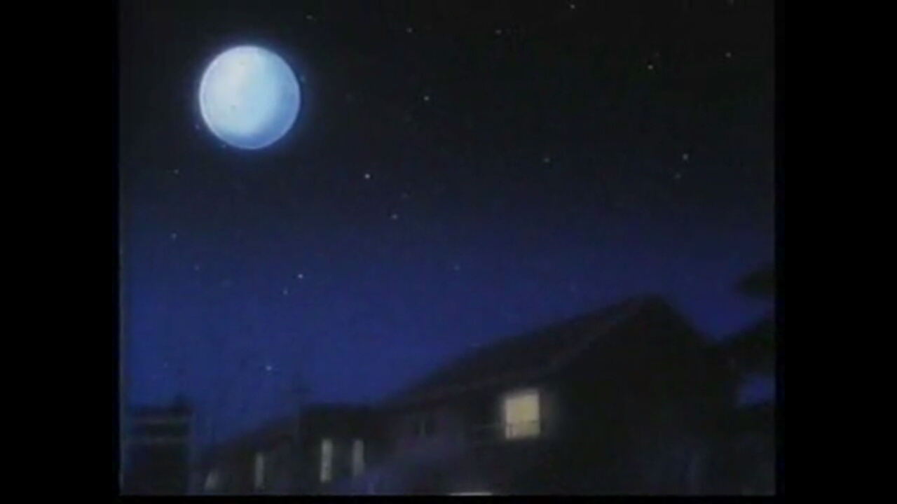 Кадры из Кошачья фантазия (1991)