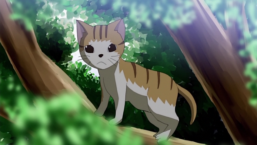 Кадры из Сцепленные звёздочки (2010)