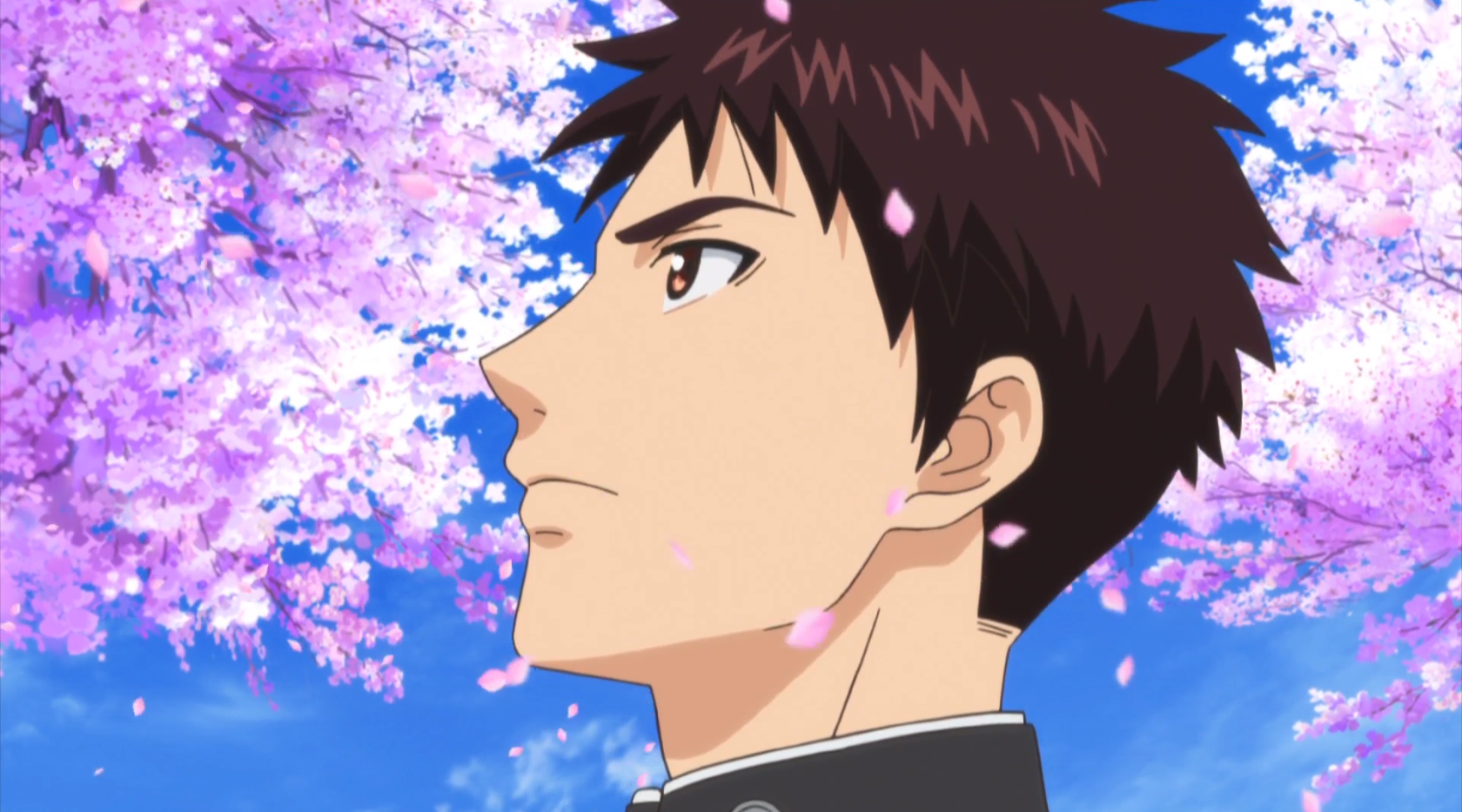 Кадры из Весёлые деньки в общежитии монстров (2017)