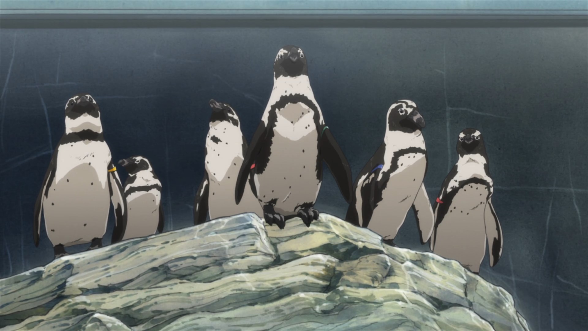 Кадры из Пингвиний барабан. Фильм 1 (2022)