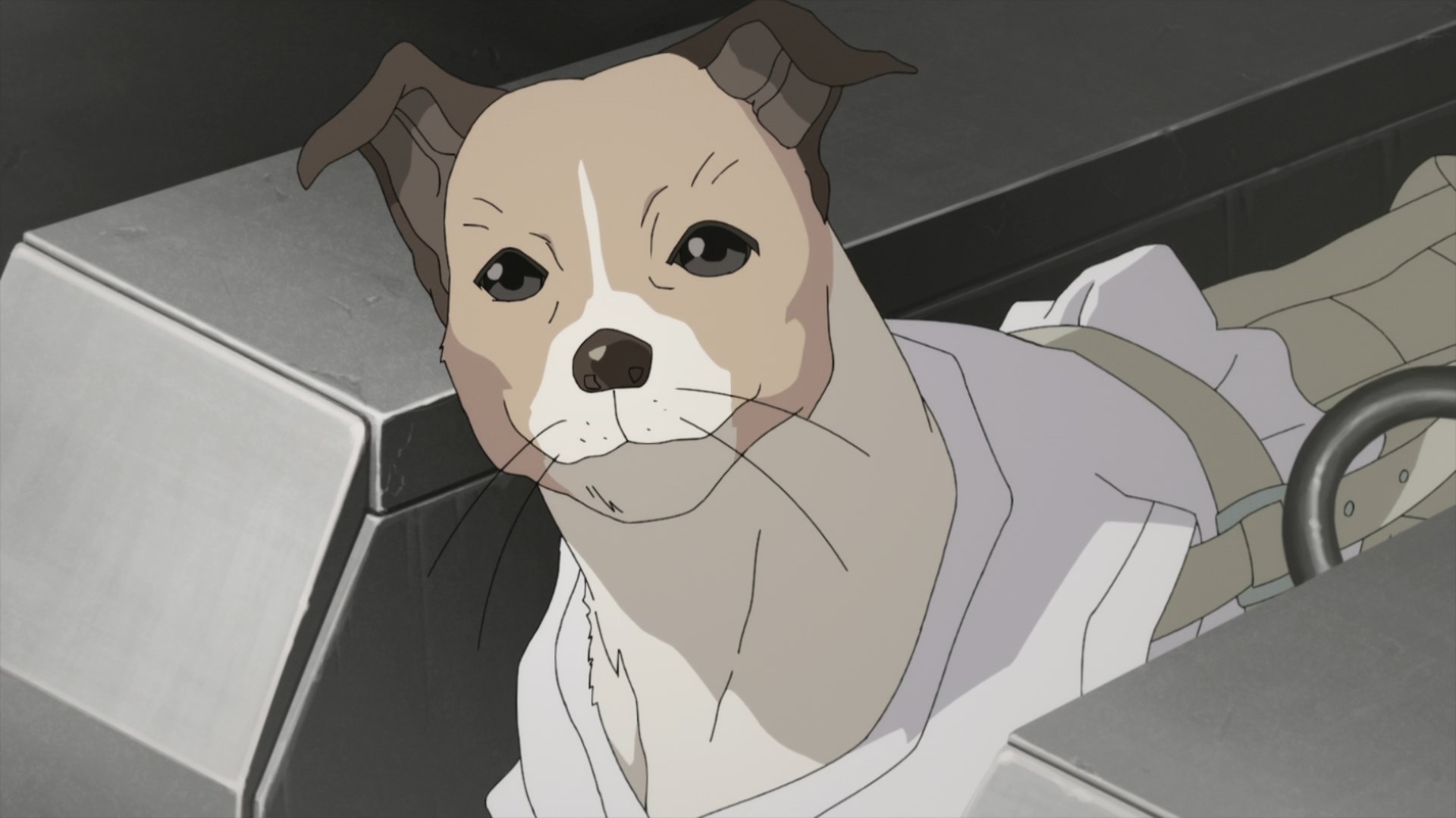 Кадры из Луна, Лайка и Носферату (2021)